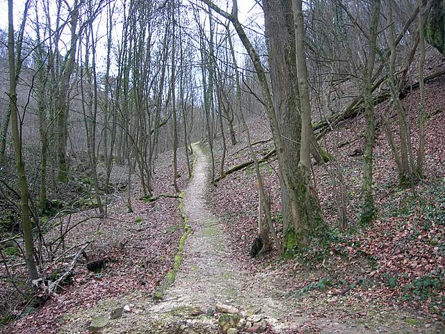 Nel  Regno  della  Jurana